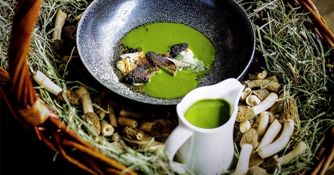 Грибные места Москвы: где пробовать сморчки