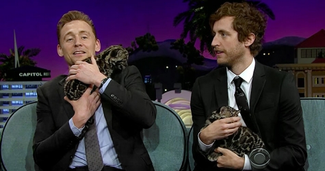 Видео дня: Том Хиддлстон, Джеймс Корден и Томас Миддлдитч играют с маленькими леопардами