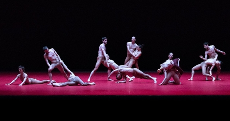 Фонд Prada представляет: цикл хореографических этюдов Вирджилио Сиени