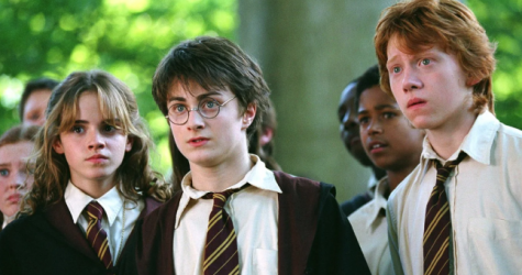 Фильмы «Гарри Поттер» и «Фантастические твари» уберут из российских онлайн-кинотеатров