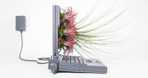 Художник превращает технику Apple в горшки для растений