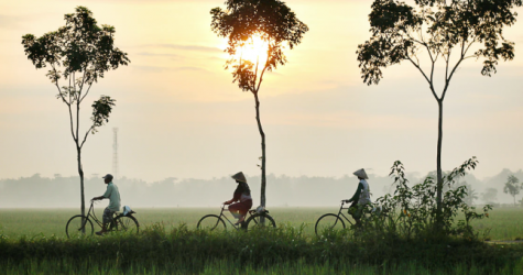 Власти Индонезии сняли все коронавирусные ограничения в стране