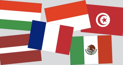 Поправки в Конституцию: опыт Индонезии, Франции и других стран