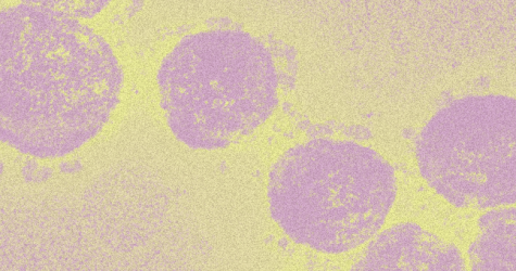 Краткая и понятная инструкция по защите от коронавируса
