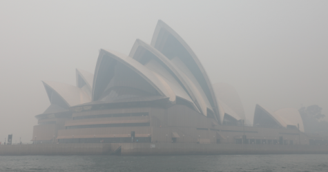 Пожары в Австралии: что происходит, как это повлияет на Землю и чем мы можем помочь