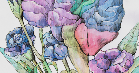 Художники рисуют для BURO.: Дарья Неретина