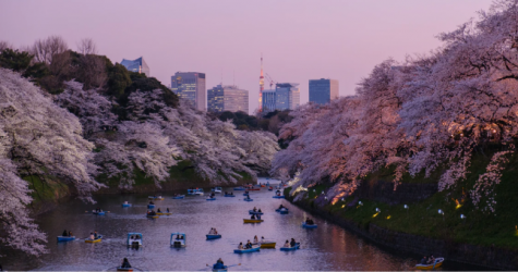 Япония возобновила выдачу туристических виз россиянам