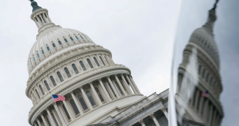 Universal Music просит Конгресс США ограничить использование искусственного интеллекта