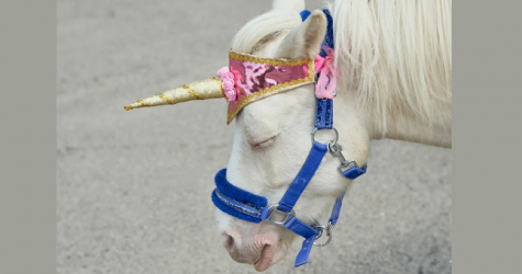 Группа «Сироткин» выпустила альбом «Суперслабость»