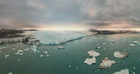 В Москве пройдет фестиваль актуального научного кино ФАНК