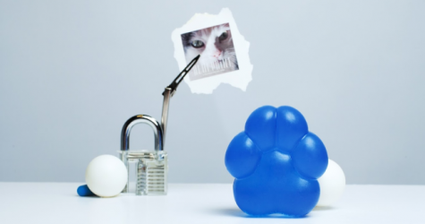 The Blueprint представил коллаборацию с Patissoncha