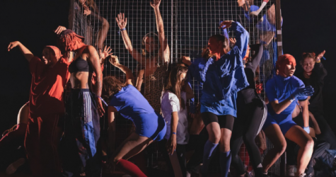 Signal анонсировал образовательную программу фестиваля