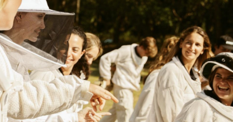 LVMH и Kering выступят на Всемирном конгрессе по охране окружающей среды