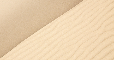 Площадь кожи еще больше, чем мы думали