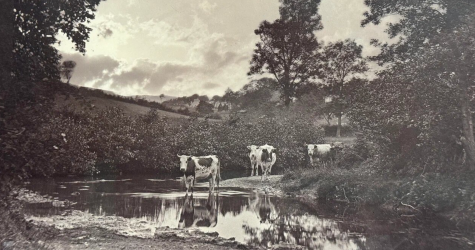 В ЦВК Béton покажут выставку «Шедевры ранней фотографии. 1840–1870 гг.»