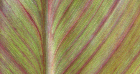 Как заботиться о ногах во время перелета