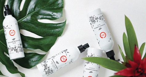 Что нужно знать об окрашивании Infusion Elements от Aldo Coppola