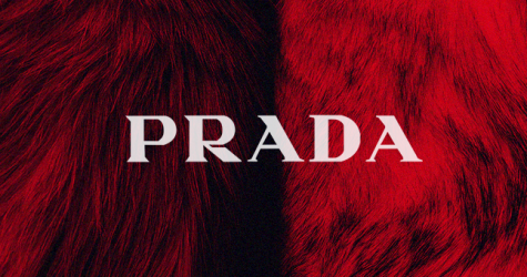 Prada откажется от меховых изделий в своих коллекциях