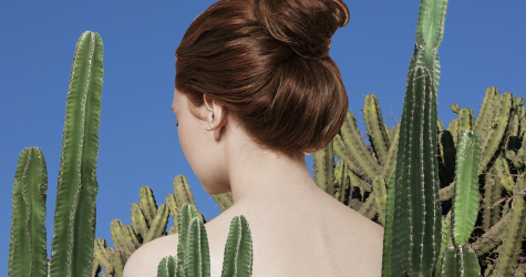 Волосы стали сухими. Что делать?