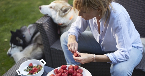 Дачный сезон: в Москве откроется проект Алены Долецкой ДачаStore