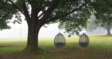 Big Berry: экоотдых на берегу реки Колпы