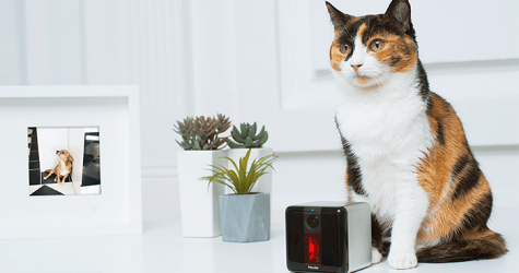 Время вперед: за какие инновации мы любим Kikstarter