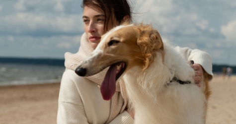 12Storeez выпустил капсульную коллекцию джемперов из кашемира