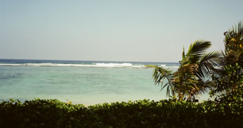 «Аэрофлот» возобновит рейсы на Мальдивы