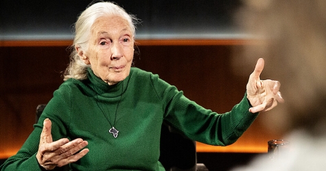 Netflix запустил новый интервью-проект со знаменитостями