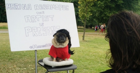 Мопс в парике повторил знаменитый перформанс Марины Абрамович