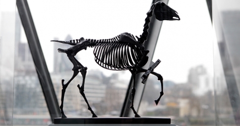 Монумент-палец и скелет лошади на Трафальгарской площади