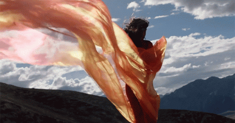 M.I.A. выпустила клип-послание к Мадонне, Рианне и Трампу