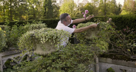 Мода и садоводство еще никогда не были так близки. И вот почему