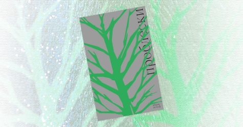 «Проблески»: отрывок из книги Айрис Вольф — о вечной дружбе, родстве душ и поиске места в мире