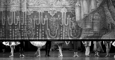 Dance Open: чего ждать от петербургского фестиваля?