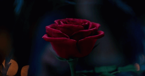 Эмма Уотсон в тизере фильма \"Красавица и Чудовище\"