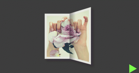 8 Марта: любимые песни о прекрасном