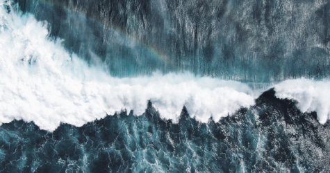 Prada будет перечислять деньги на сохранение океанов