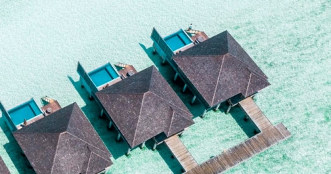 Отель на Мальдивах предложил клиентам год проживания за 30 тысяч долларов