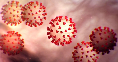 Минздрав сравнил российскую вакцину от COVID-19 с американским и немецким аналогом