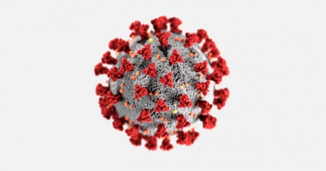 ВОЗ назвала единственный действенный препарат от коронавируса