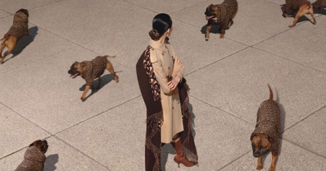 Burberry выпускает худи для собак