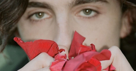 Тимоти Шаламе снялся для обложки китайского Dazed