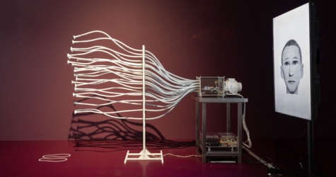 Музей «Гараж» проведет «Арт-эксперимент», посвященный миру запахов