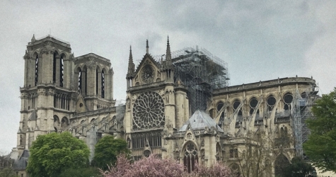 Французский Сенат решил, как реставрировать Нотр-Дам