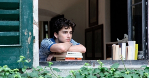 Тимоти Шаламе намекнул на сиквел «Зови меня своим именем»