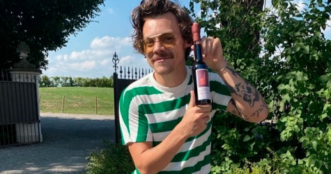 Гарри Стайлз отрастил усы