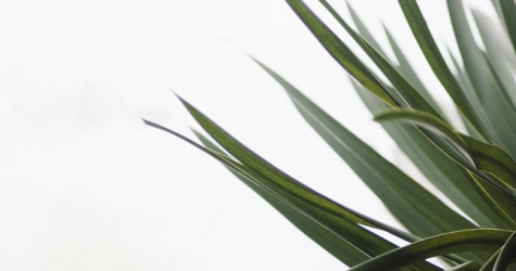 Что такое sub-zero waste — главный тренд бьюти-индустрии в 2019 году