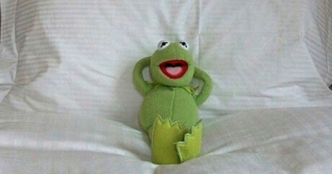 У мем-культуры появилась собственная биеннале