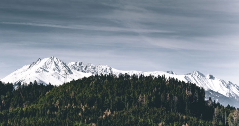 Австрия откроет горнолыжные курорты и запретит вечеринки